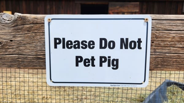 Denver Botanic Gardens - Chatfield