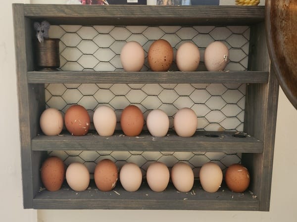 Really fresh eggs at Steve & Mary home